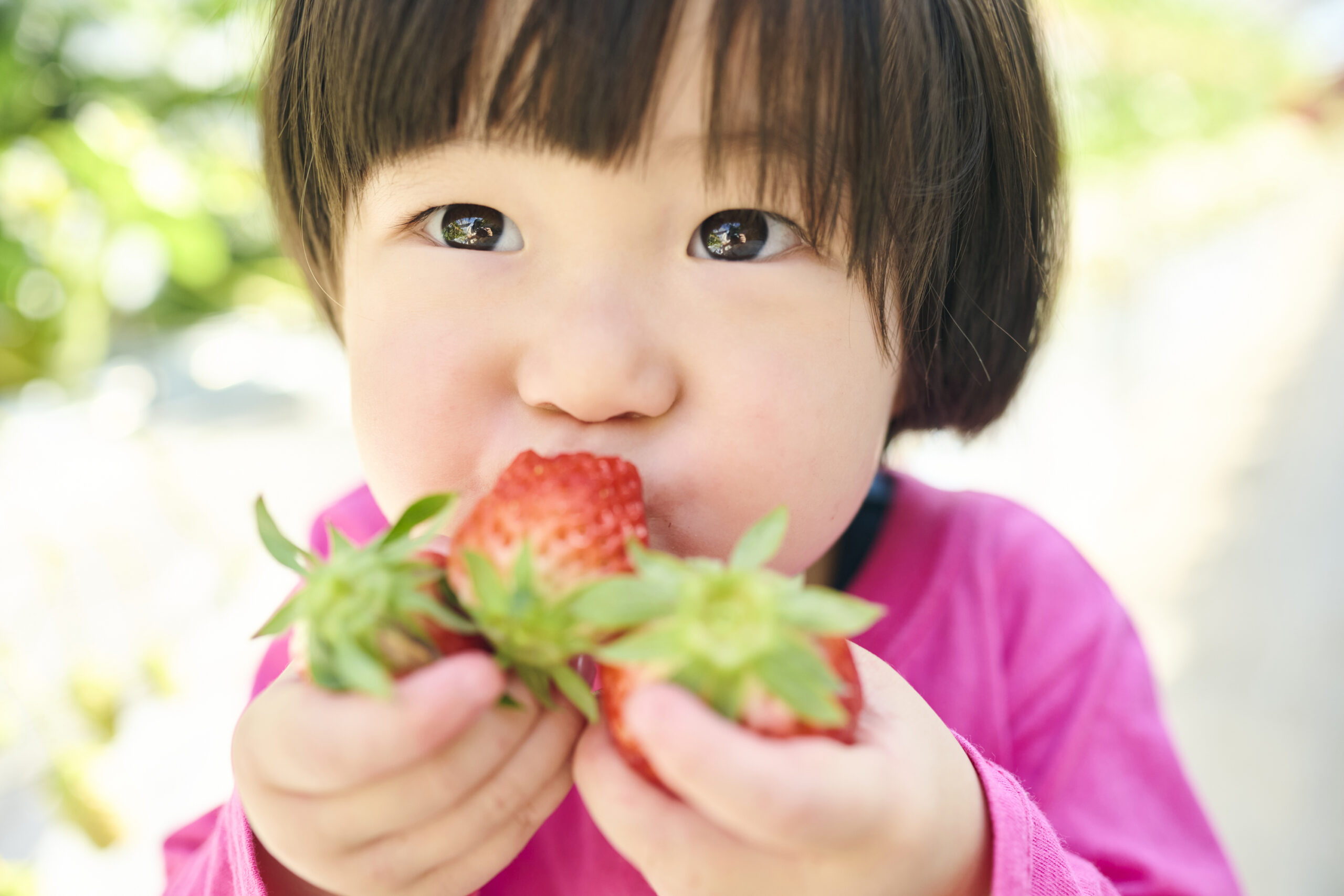 いちご狩りのご予約につきまして