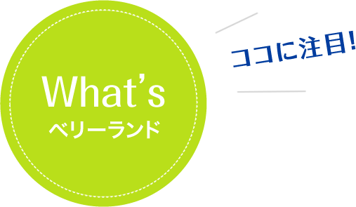 ココに注目！｜What’sベリーランド