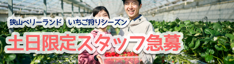 土日限定スタッフ急募