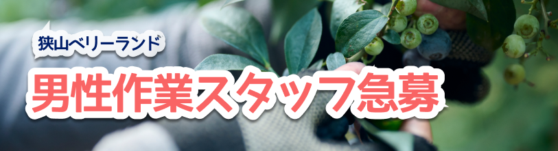 男性作業スタッフ急募