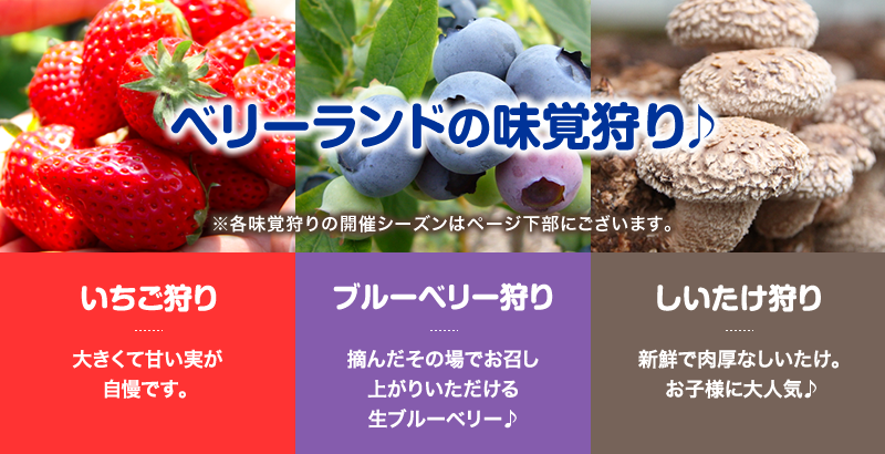 ベリーランドの味覚狩り